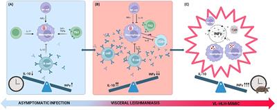 Immune response to viscerotropic Leishmania: a comprehensive review